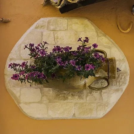 Roberto's Bed & Breakfast